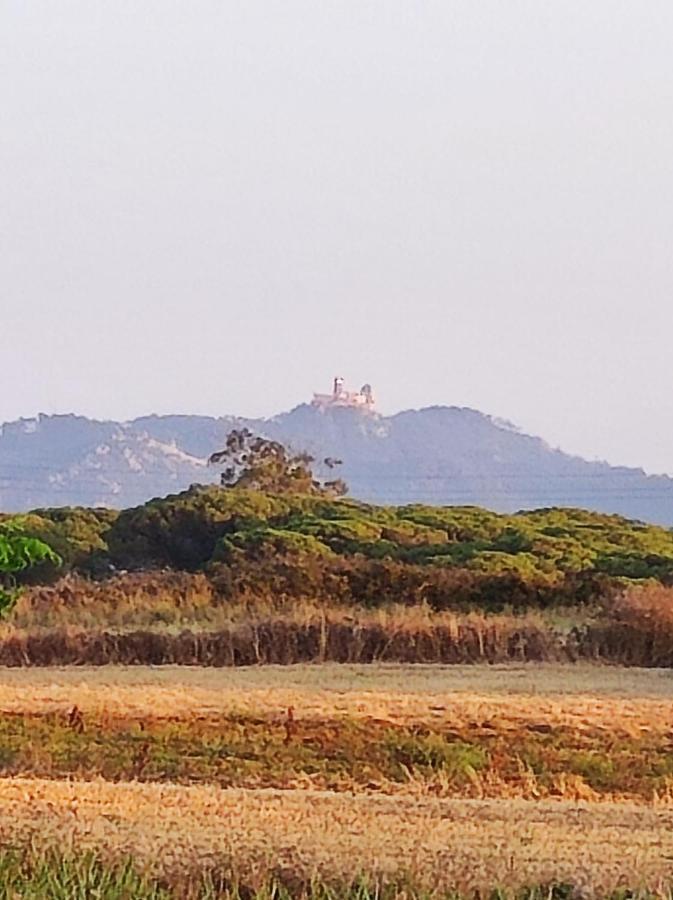 Sintra Home المظهر الخارجي الصورة